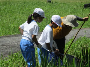 IMG_7592.JPG