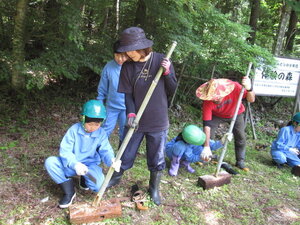 IMG_2770.JPG