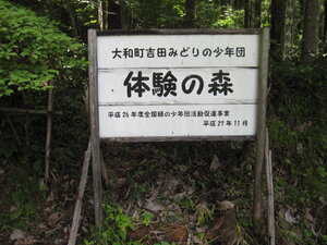 IMG_2764.JPG